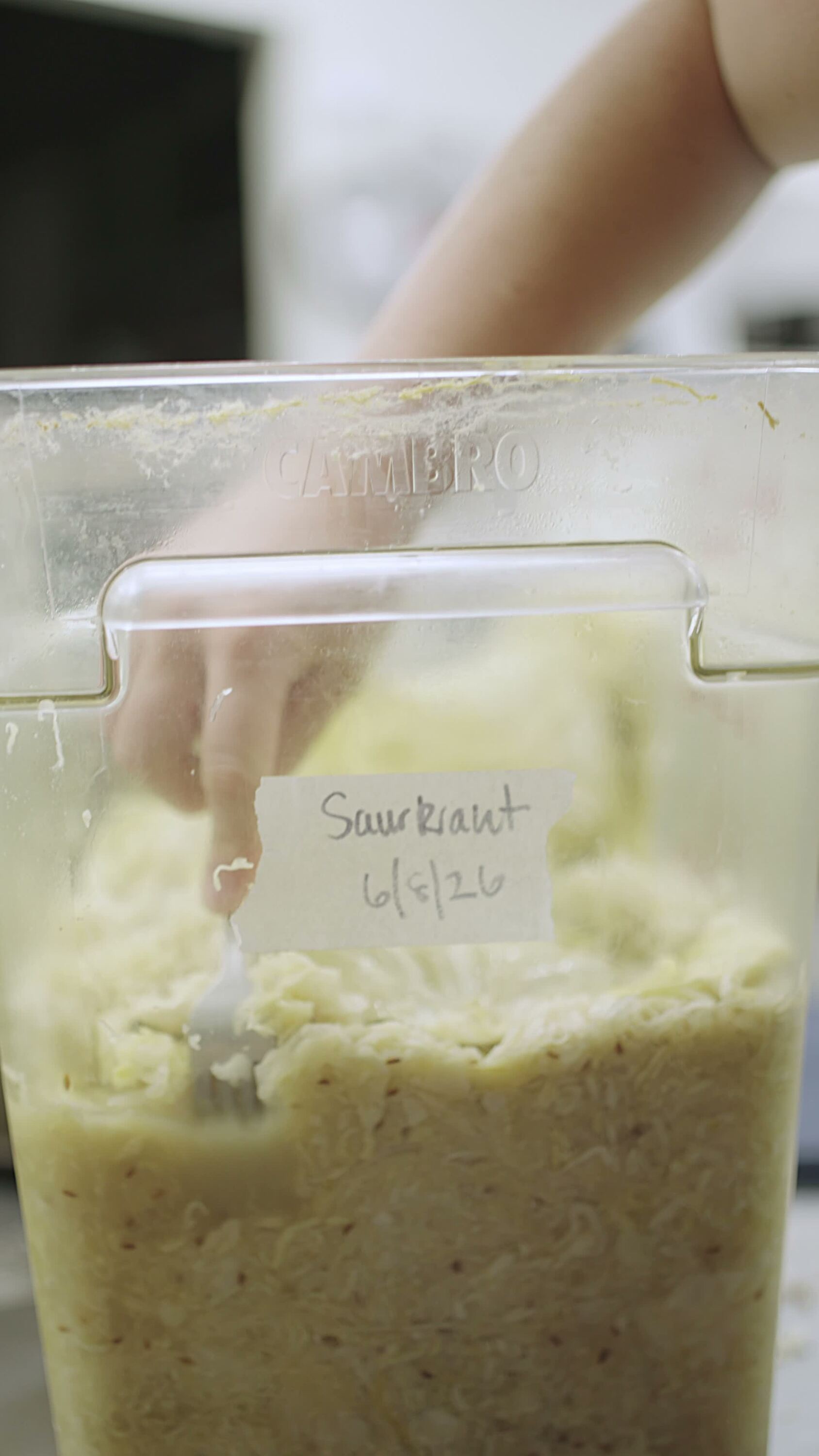 Join us for a crash course in #sauerkraut... Delicious and packed with beneficial probiot…