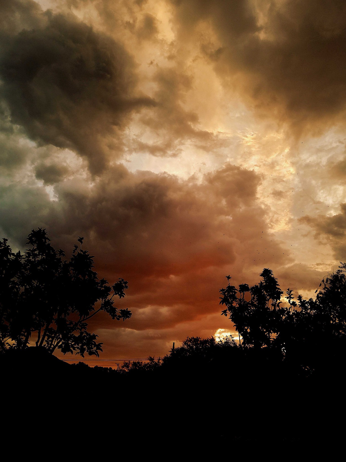 We were blessed yesterday with a cosmic sky and lovely rain. Truly an oasis in the desert…